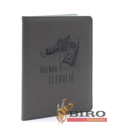 Agenda elevului IDEE gri